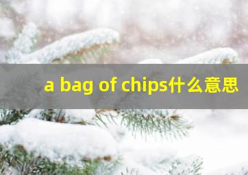 a bag of chips什么意思